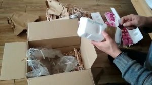 Куры Павловские/Золото, яйцо