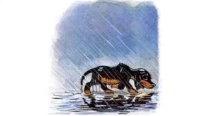 У меня пропал щенок