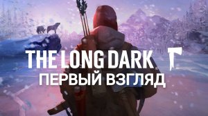 the long dark первый взгляд