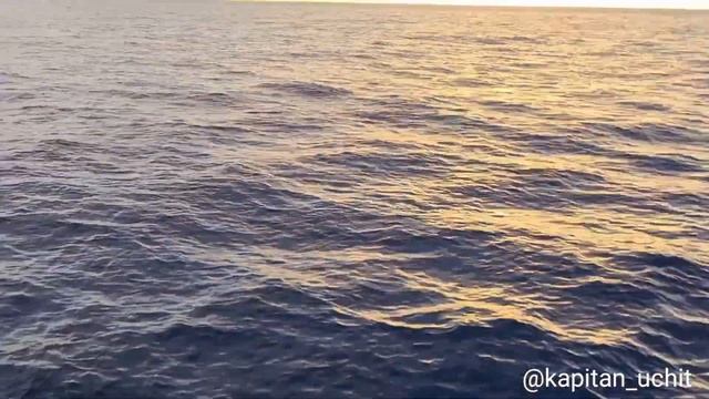 Каково на самом деле В ОКТЯБРЕ на яхте в Турции / Аренда яхты в Турции 2021 смотреть онлайн