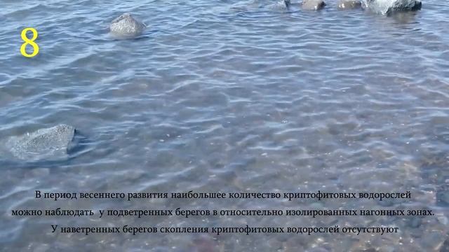 Лечебная рапа Сакского озера