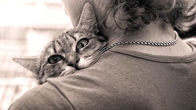 10 добрых поступков людей, о которых стоит знать смотреть онлайн