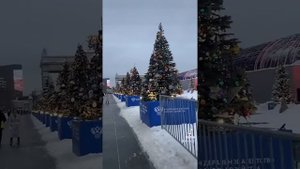 Мелитополь на связи??❤️ПОДПИШИСЬ ПОЖАЛУЙСТА ❤️✅?