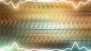 Montagem Coral - Dj holanda [Audio Edit] By Ncs BD