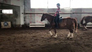 vlog:Тренировка у МС по выездке в другом городе/Дали СП лошадь?/конный спорт/ByWindyFriz