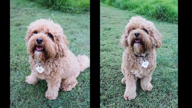 Canon EOS 800D | Learn How to Take Better Photos With the EOS 800D Guided Display смотреть онлайн