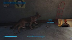 Похождения Папич в Fallout 4: Компиляция #1