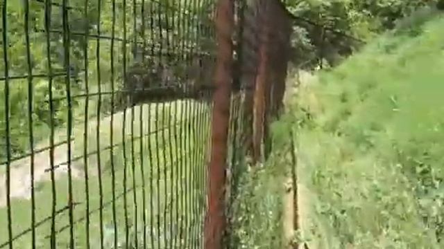 Коржаковские дачи, Русанов ручей