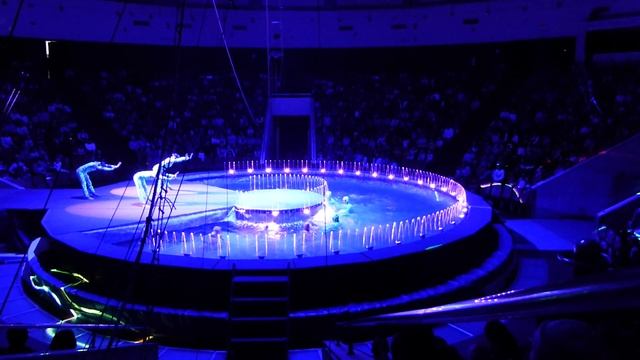 Остров сокровищ цирк на воде