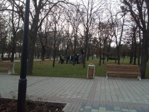 Паровозики