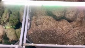 ДИВНОМОРСКОЕ 2023. ГДЕ ПОКУШАТЬ И ЗА КАКУЮ ЦЕНУ. 11 ИЮНЯ, ПОГОДА И МОРЕ