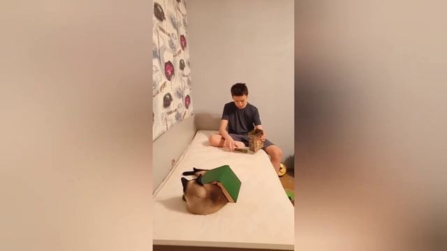 ЧТО ДЕЛАТЬ ЕСЛИ МАМА ЗАБРАЛА ТЕЛЕФОН!? Первый КГ смотреть онлайн