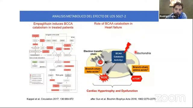ACTUALIZACIÓN EN DIABETES. Inhibidores de SGLT2, desde su acción a la Aplicación Clínica en DBT2. смотреть онлайн