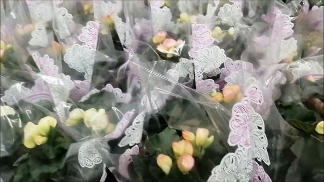 Покупки в Леруа Мерлен, все для ремонта/ Влог #Мамачоли смотреть онлайн