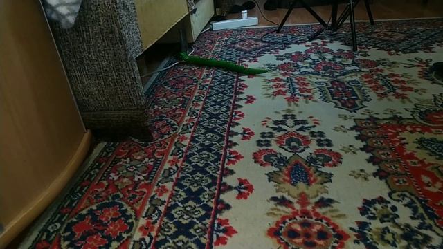 Новинка! Обзор Robo Alive. Ползущая змея от ZuruНовинка! Обзор Robo Alive. Ползущая змея от Zuru смотреть онлайн