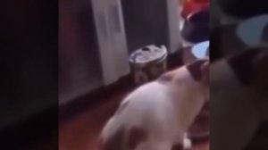 тест на сигму