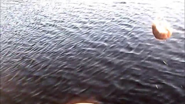 Окунь, щука на оз. Плоское, р.Кама смотреть онлайн