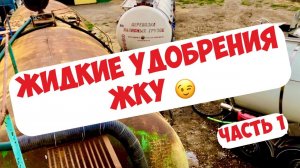 УДОБРЕНИЕ ЖКУ - КАК СЛИВАТЬ? ЧЕМ ВНОСИТЬ? МОЙ ОПЫТ ...