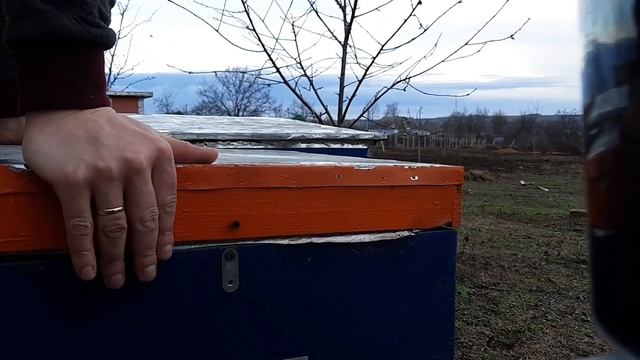 Подкормка пчёл мёдом зимой 02.02.2020 смотреть онлайн