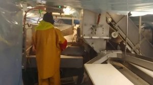 промысел трески и пикши донным тралом в Баренцевом море