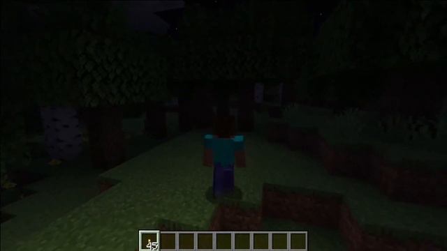 Автоматическая установка факелов в Майнкрафт | Обзор мода Torchplacer смотреть онлайн