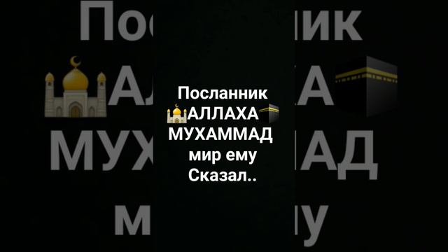 Пророк Мухаммад мир ему     #Коран #