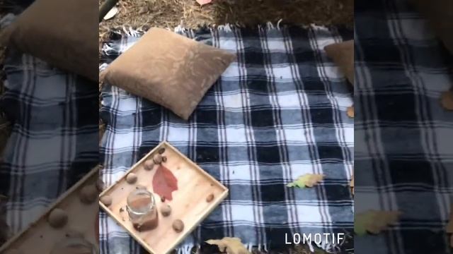 Оформление фотозоны с шалашом на природе смотреть онлайн