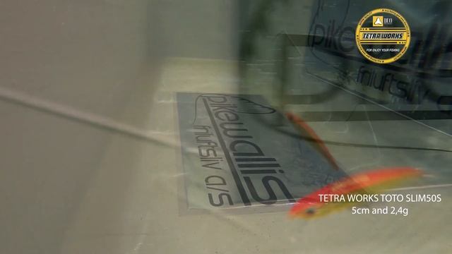 Tetra Work slim 50s- an easy warrior-pooldemo смотреть онлайн