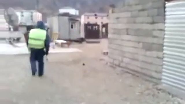 Осел похитил сотрудника ДПС смотреть онлайн