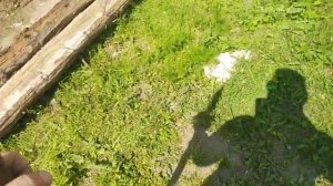 что в подполье старого дома!?