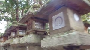 Nara , Kasuga-taisha/ Wakamiya Shrine.