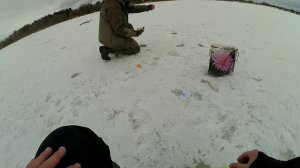 Крупная плотва на безмотылку. Рыбалка по последнему льду на реке. Безнасадочная мормышка в деле.