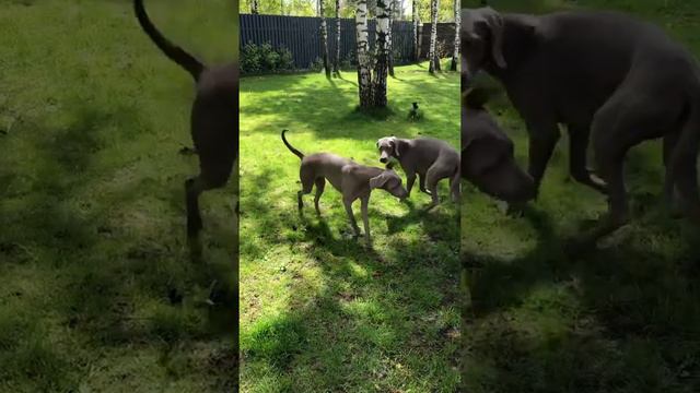 10 марта 2021 г. смотреть онлайн