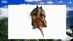 ЖИВОТНЫЕ ЮЖНОЙ АМЕРИКИ со звуками. для детей от 1 до 3 лет По методике Домана Развивающий мультфиль