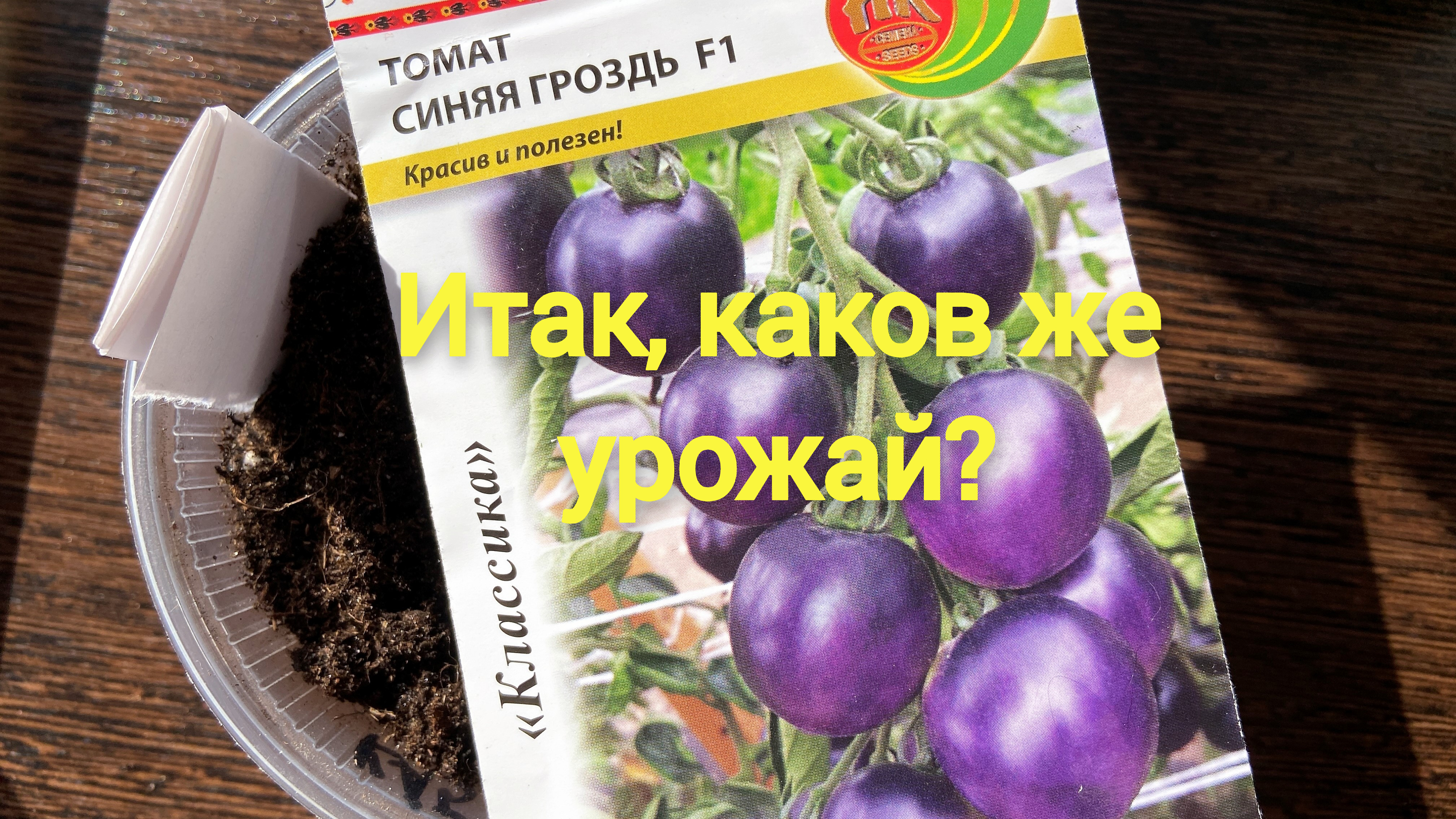 Томат синяя гроздь f1. Томат синяя гроздь. Томат синие ключи. Томат сине белая кисть.