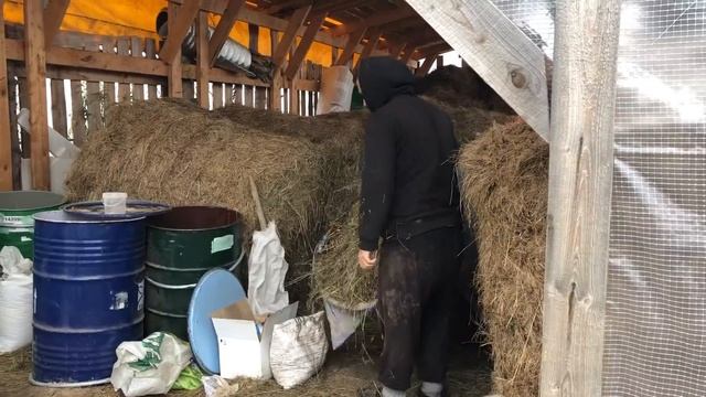 СТРОИМ ДОМ ДЛЯ ИНДОУТОК! НОВЫЕ ЖИЛЬЦЫ НА ФЕРМЕ! ДЕРЕВЕНСКИЕ БУДНИ! ЖИЗНЬ В ДЕРЕВНЕ! смотреть онлайн