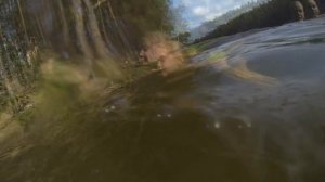 Берестовое  озеро.