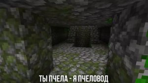 ПЧЕЛОВОД (RASA) ПОЁТ ПОПУГАЙ | MINECRAFT МУЗЫКА