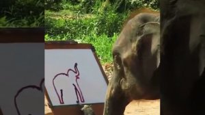 Слон-художник