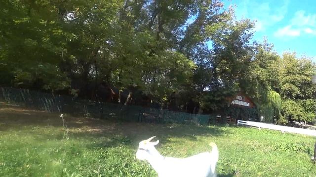 Осеннее мотопутешествие 2021! Дивногорье-Вешенская! Часть 2 смотреть онлайн