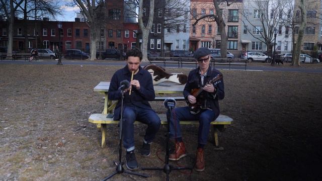 Reels in the park | Tin Whistle & Mandolin смотреть онлайн