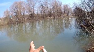 Рыбалка на фидер на Оби в Новосибирске. Фидер рулит !!! Feeder fishing.