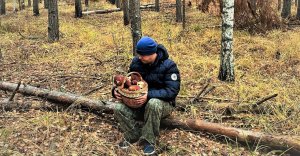 Боровики и белые грибы. Грибник попал под дождь. Грибы в осеннем бору