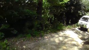 Легенда японского автопрома Делика    D-3  xxx