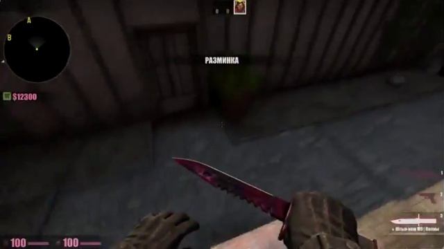 Phantomers ¦ #1НАЧАЛО1 смотреть онлайн