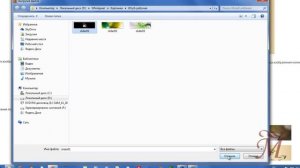 Картинки в шапке сайта Wordpress. Тема Twenty Eleven