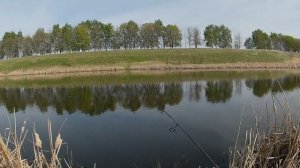 Мормышинг на пруду. Ловля плотвы и окуня на мормышку.