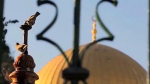 Группа Ансар | Палестина 🇵🇸