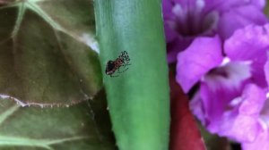 Фортепианная музыка / Музыка без слов / Музыка для расслабления