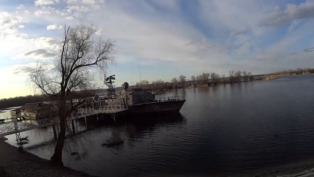 Щенки и Пёсики!) ПроГулка по НаБережной ВолГи. СКК "Вместе"